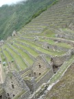 The agricultural terraces