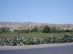 This is the valley of Palpa. Cotton, oranges and strawberries are grown here. Not bad considering there has only been about 2 hours of rain during the last 10 years.