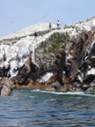 These guys were fishing. The white stuff is the famed guano.