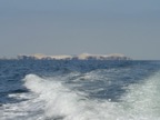 These is Ballestas island, a bird and wildlife sanctuary just off the coast of Paracas