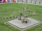 The reason they call it Iguana Park