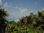 Then to Tulum, a Mayan temple complex by the ocean