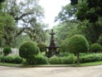 Fountain in the botanical garden