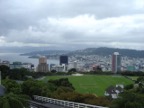 View of Wellington from Botanical garden