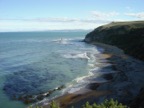 Penguins near Oamaru