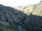 Taieri gorge