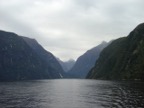 On Milford Sound