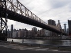 Manhattan as seen from Roosevelt island